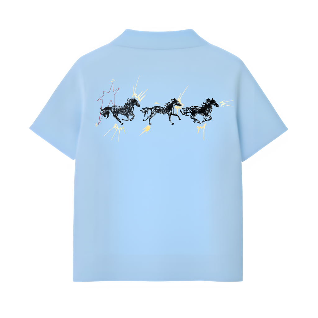 horse polo